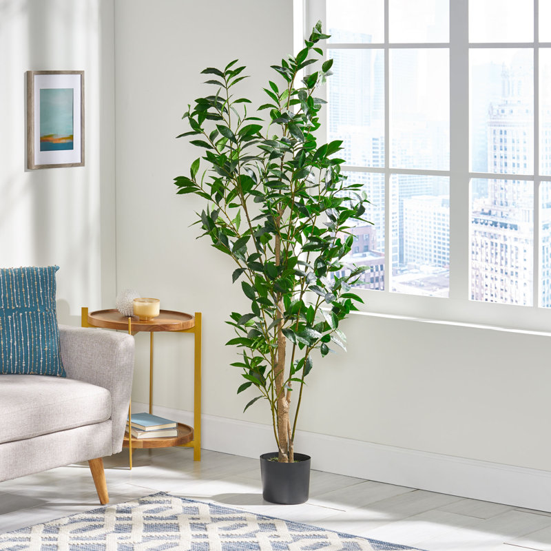 Primrue Artificial Laurel Tree in Pot & Reviews Wayfair